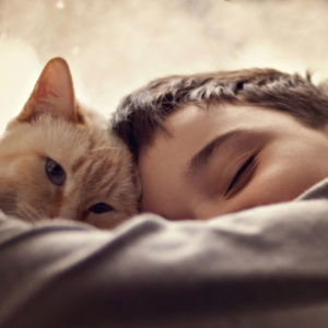 cat-1