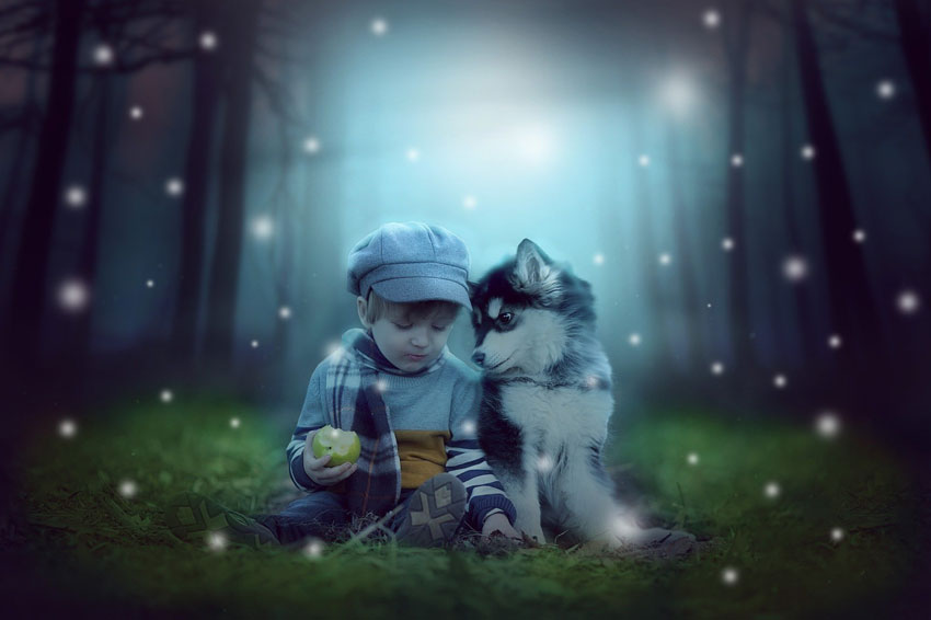 hund-für-familie