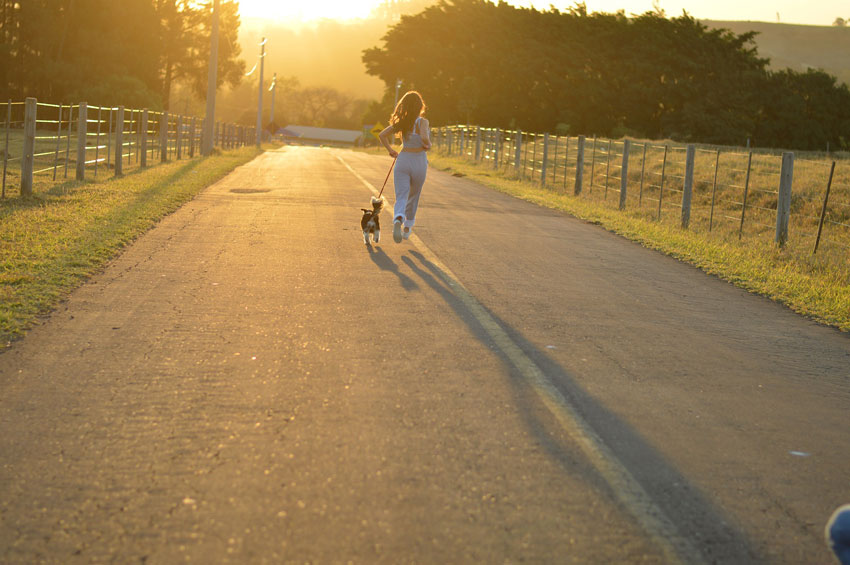 hund-joggen