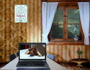 katze-tv-pc