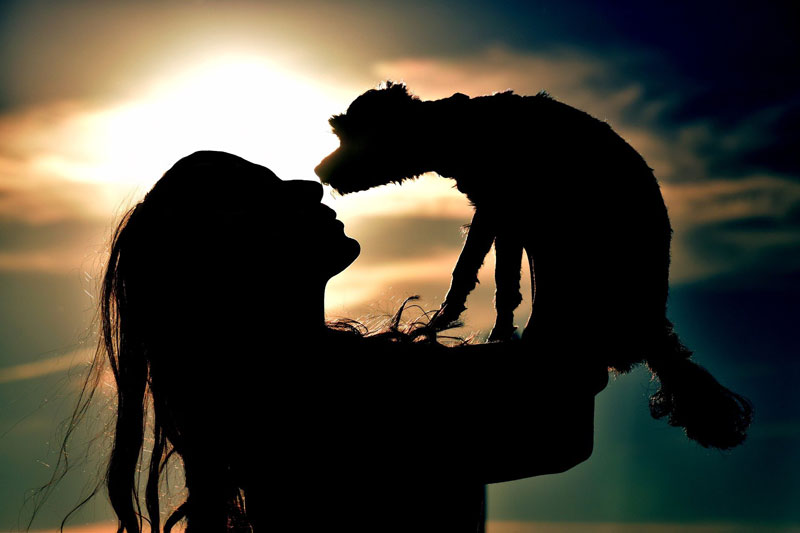 mensch-und-hund-titel