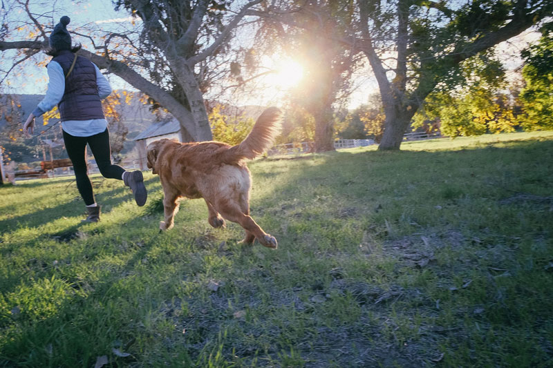 Hund-und-Mensch